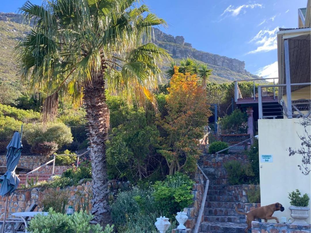 Dunvegan Lodge Clovelly Exterior foto